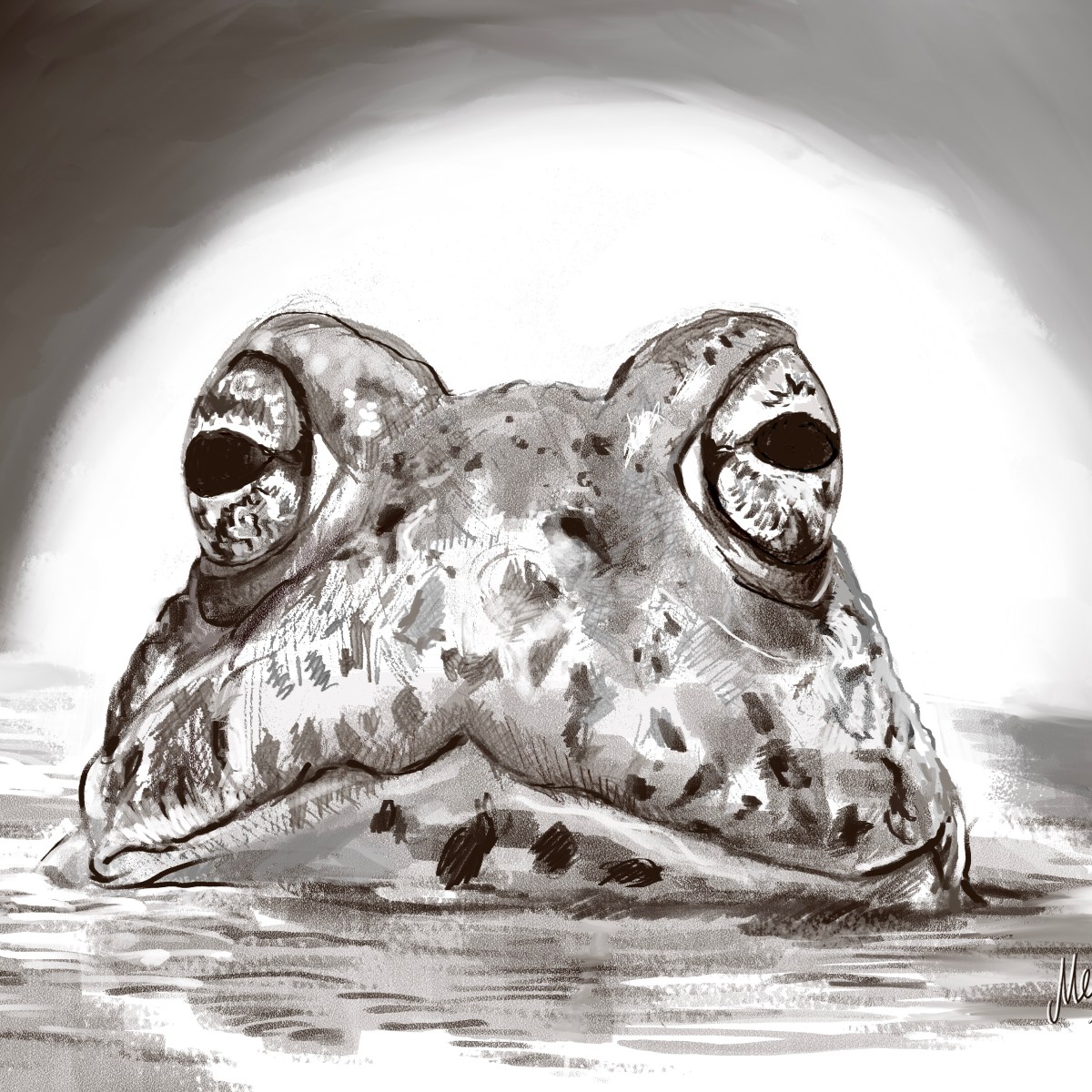 Fwog