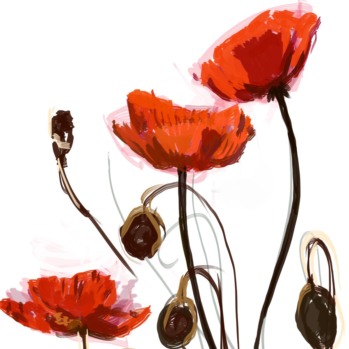 Poppies for Remembrance