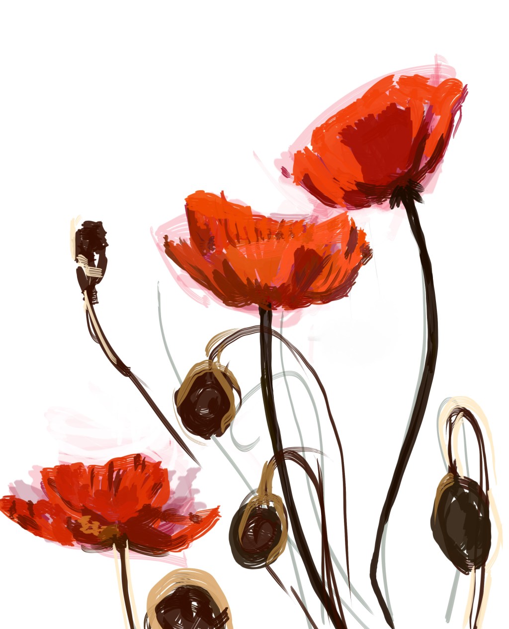 Poppies for Remembrance